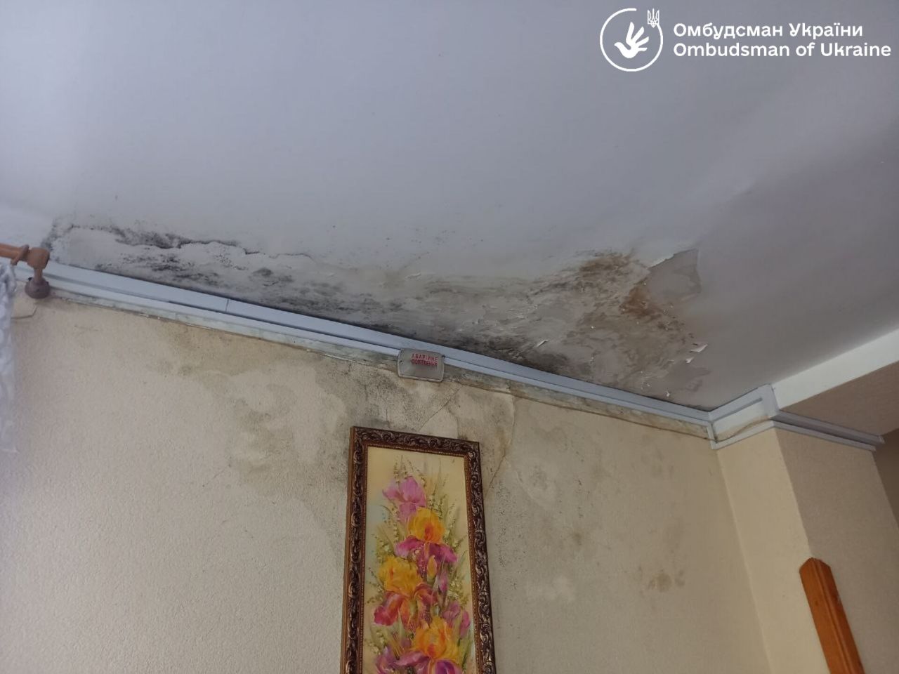 Без доступа к питьевой воде и собственным деньгам: гериатрический пансионат во Львове попал в скандал