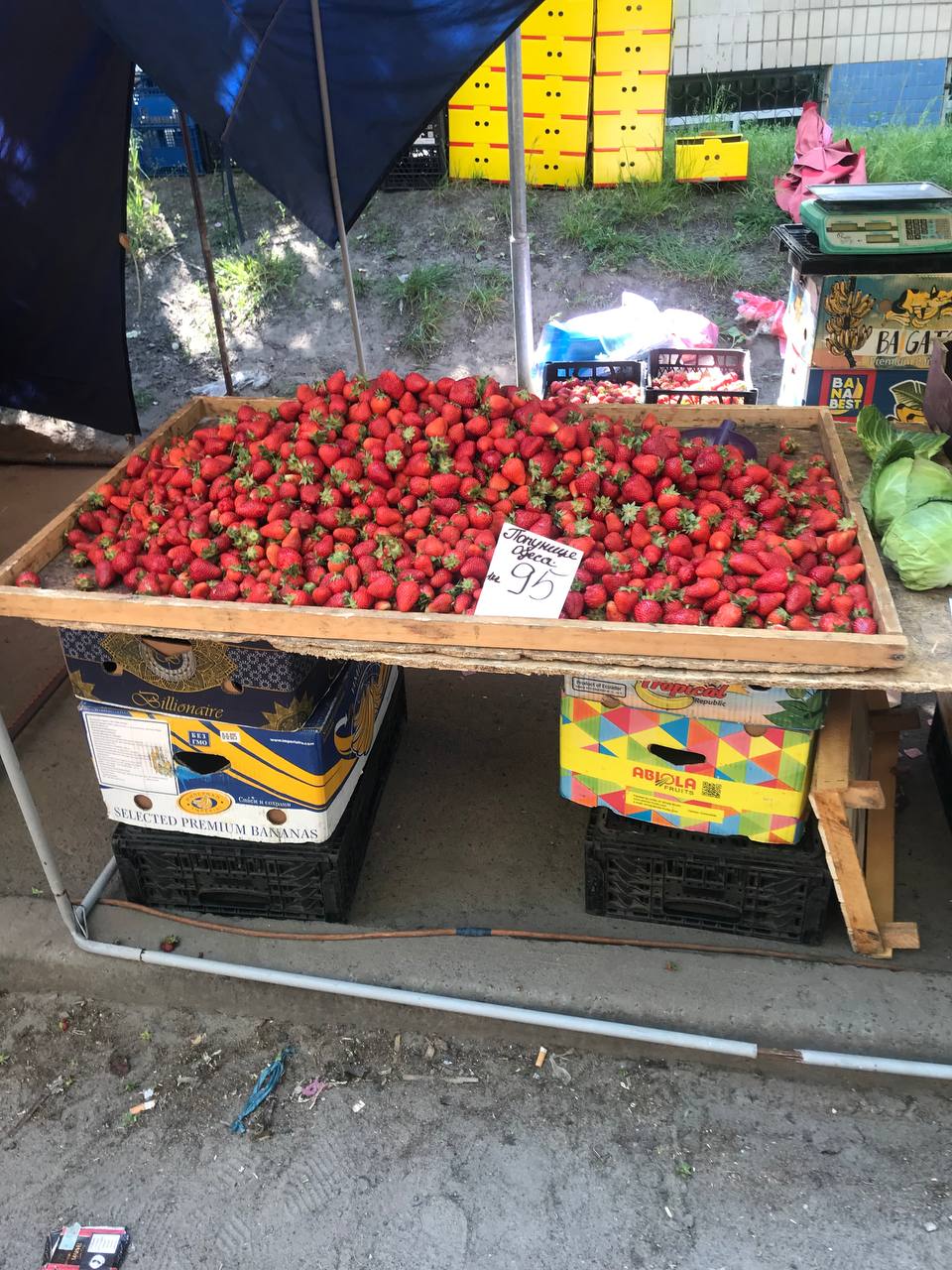 Смак літа. Скільки коштує полуниця у Києві: огляд цін