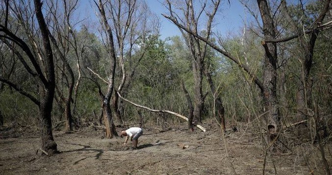 У Румунії знову знайшли уламки дрона після російської атаки по Україні