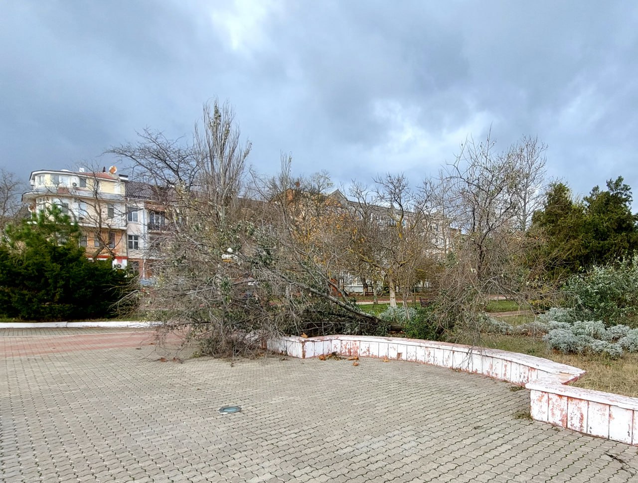 Море виходить із берегів: у Криму вирує "шторм століття", змиваючи все на своєму шляху (фото, відео)