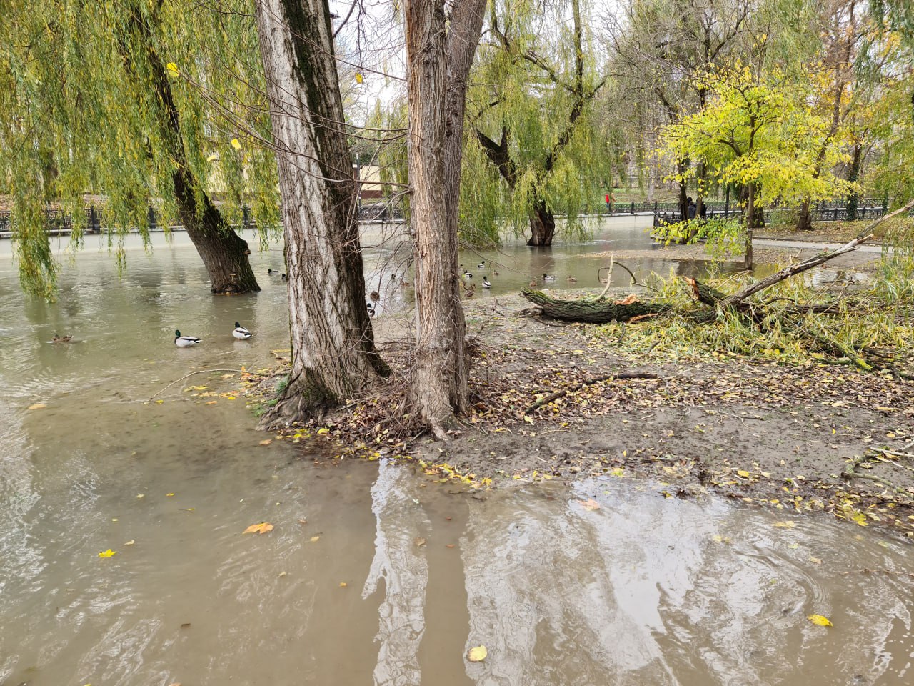 Море виходить із берегів: у Криму вирує "шторм століття", змиваючи все на своєму шляху (фото, відео)