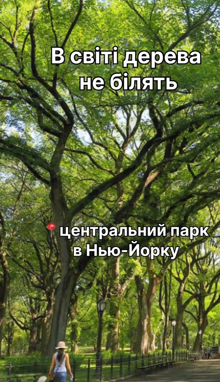 Це не корисно: фермер розвіяв популярні міфи про побілку дерев