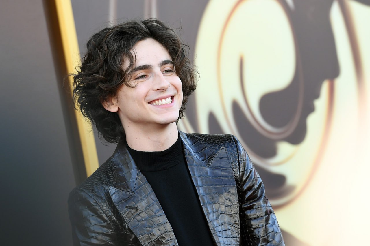 Тимоти Шаламе на презентации фильма "Вонка" в Лос-Анджелесе показал, как носить кожаный костюм (фото)