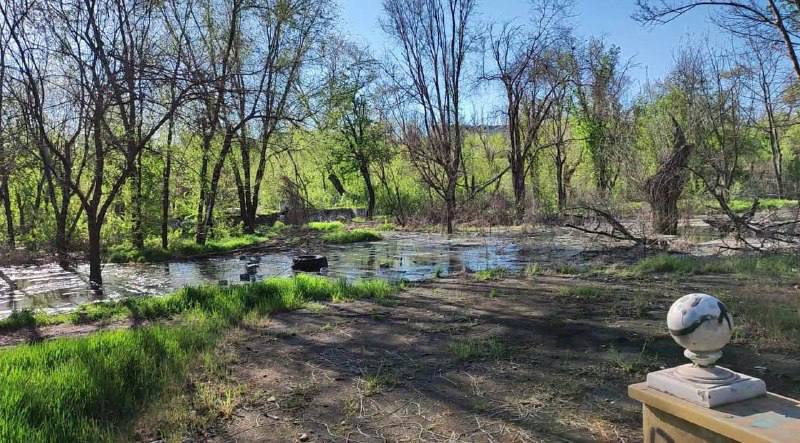 У Маріуполі екологічний колапс: у міському парку утворилася "річка" з каналізаційних стоків (фото)