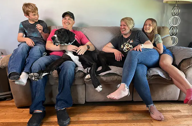 Как выглядит самый высокий в мире пес из Книги рекордов Гиннеса: впечатляющие фото