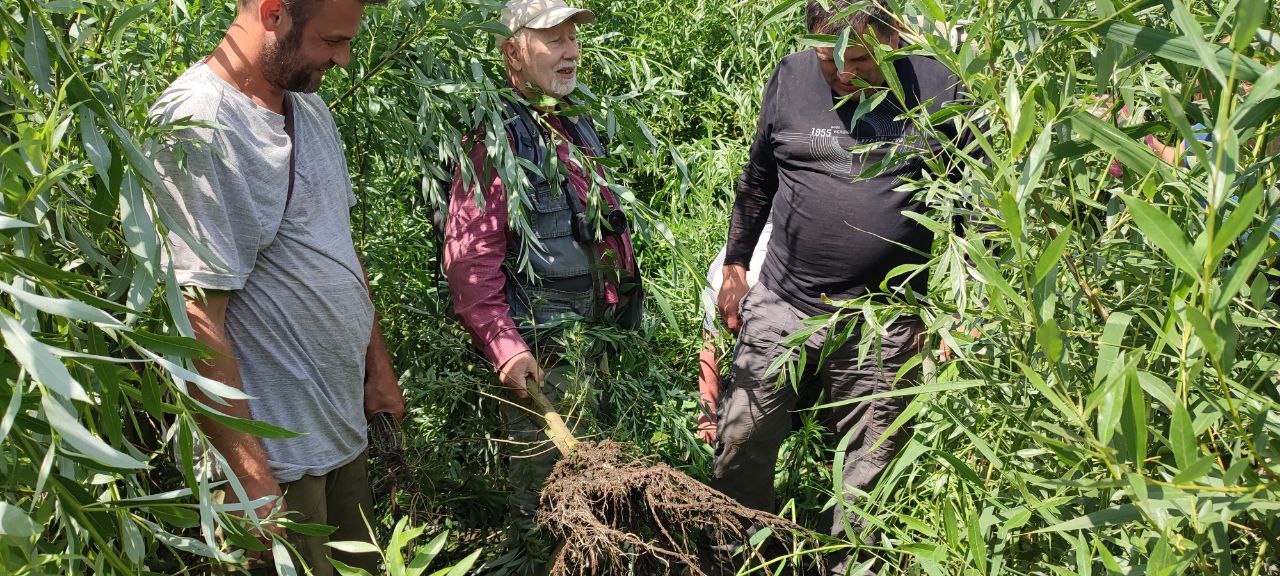 Два роки після екокатастрофи. Що насправді відбувається на місці Каховського водосховища