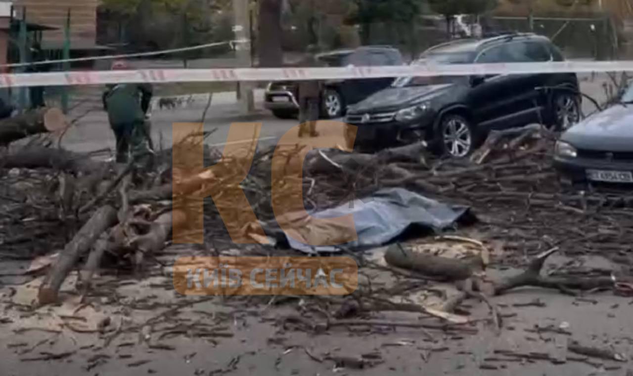 У Києві на Лук'янівці дерево впало на людину, вона загинула