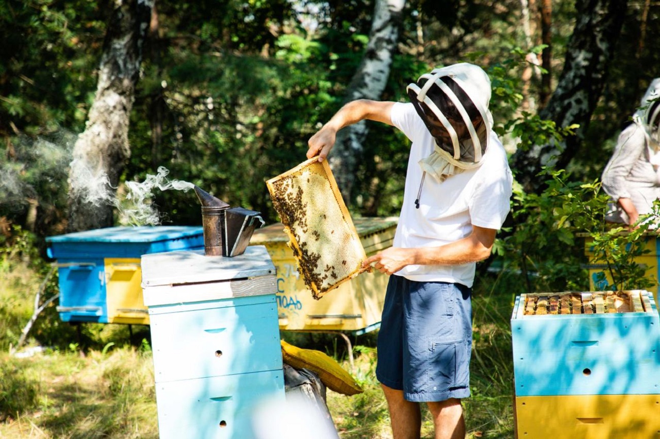 Бизнес с нуля. Как бывшие военные развивают собственное дело после фронта