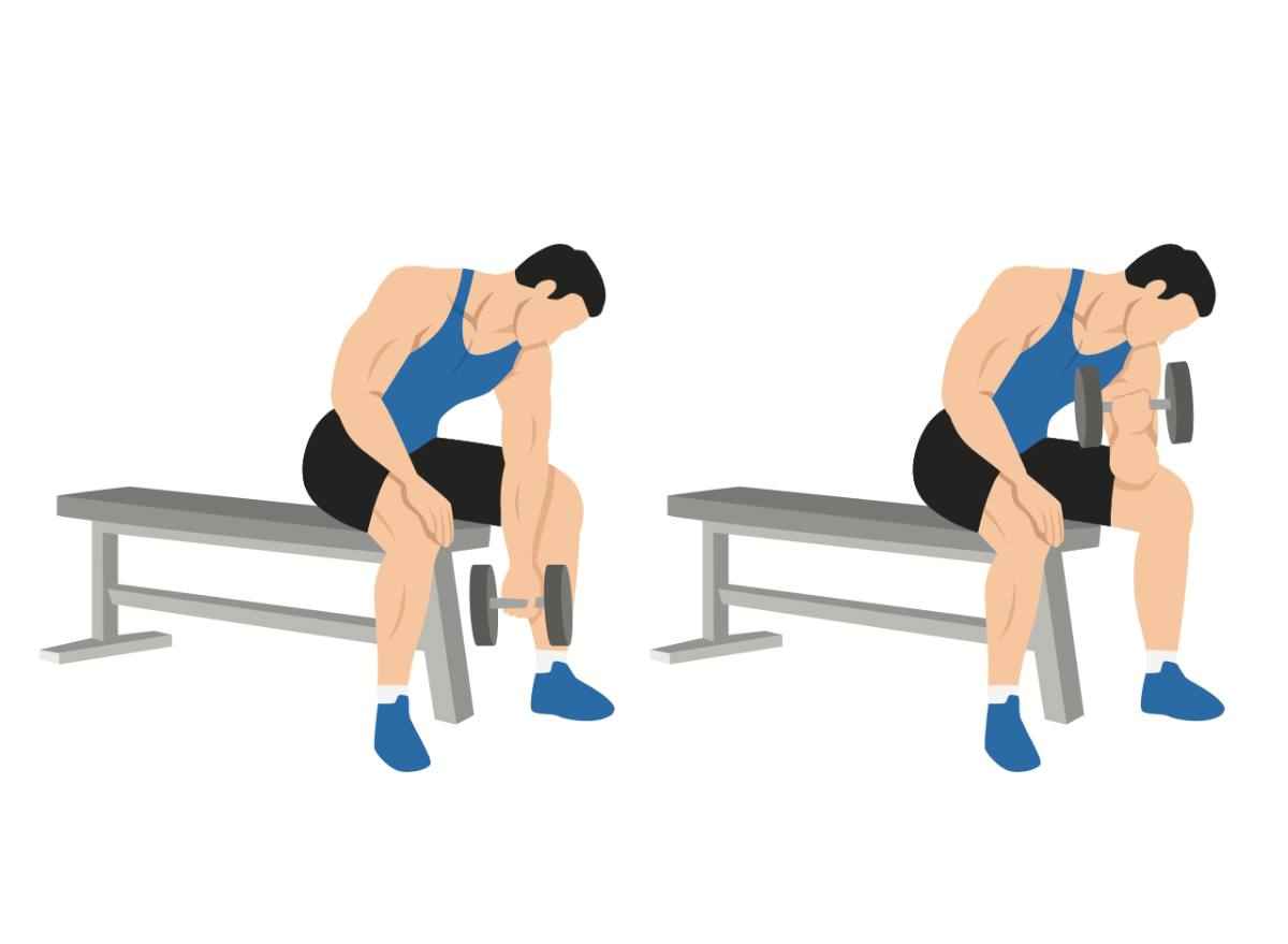 5 ефективних тренувань, які допоможуть накачати сильні руки вдома