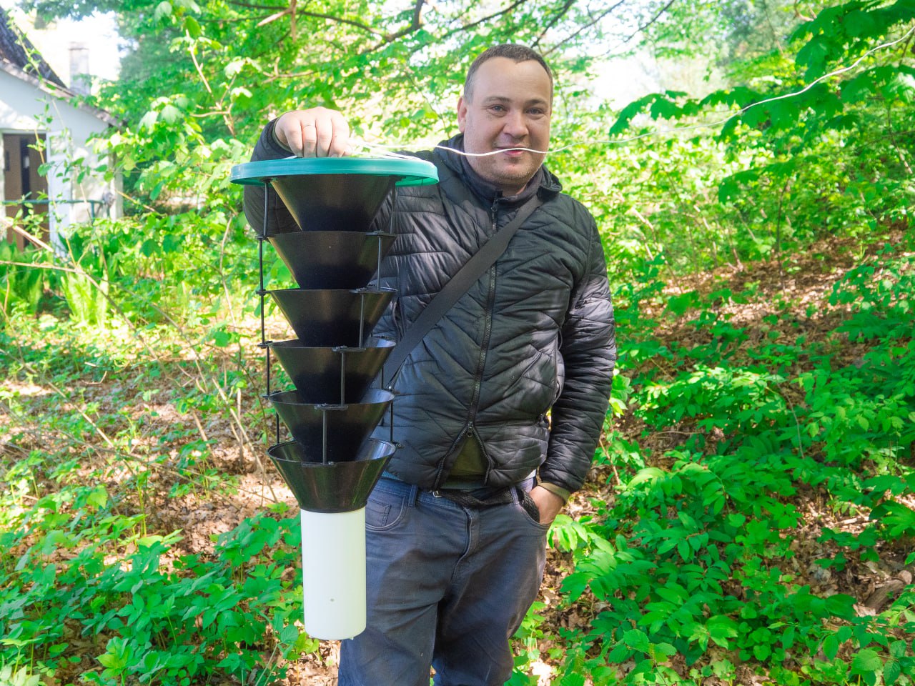 Чому в Україні зникають метелики та куди подівся колорадський жук: інтервʼю з ентомологом