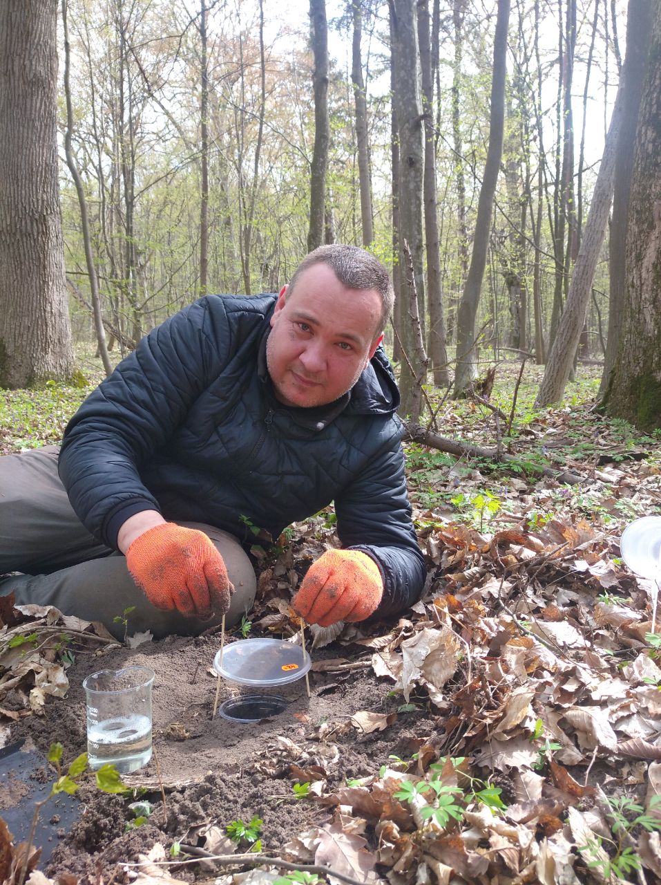 Чому в Україні зникають метелики та куди подівся колорадський жук: інтервʼю з ентомологом