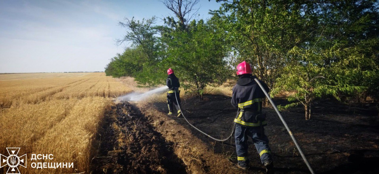 У Одеській області вирують масштабні пожежі: є загибла та поранені (фото)