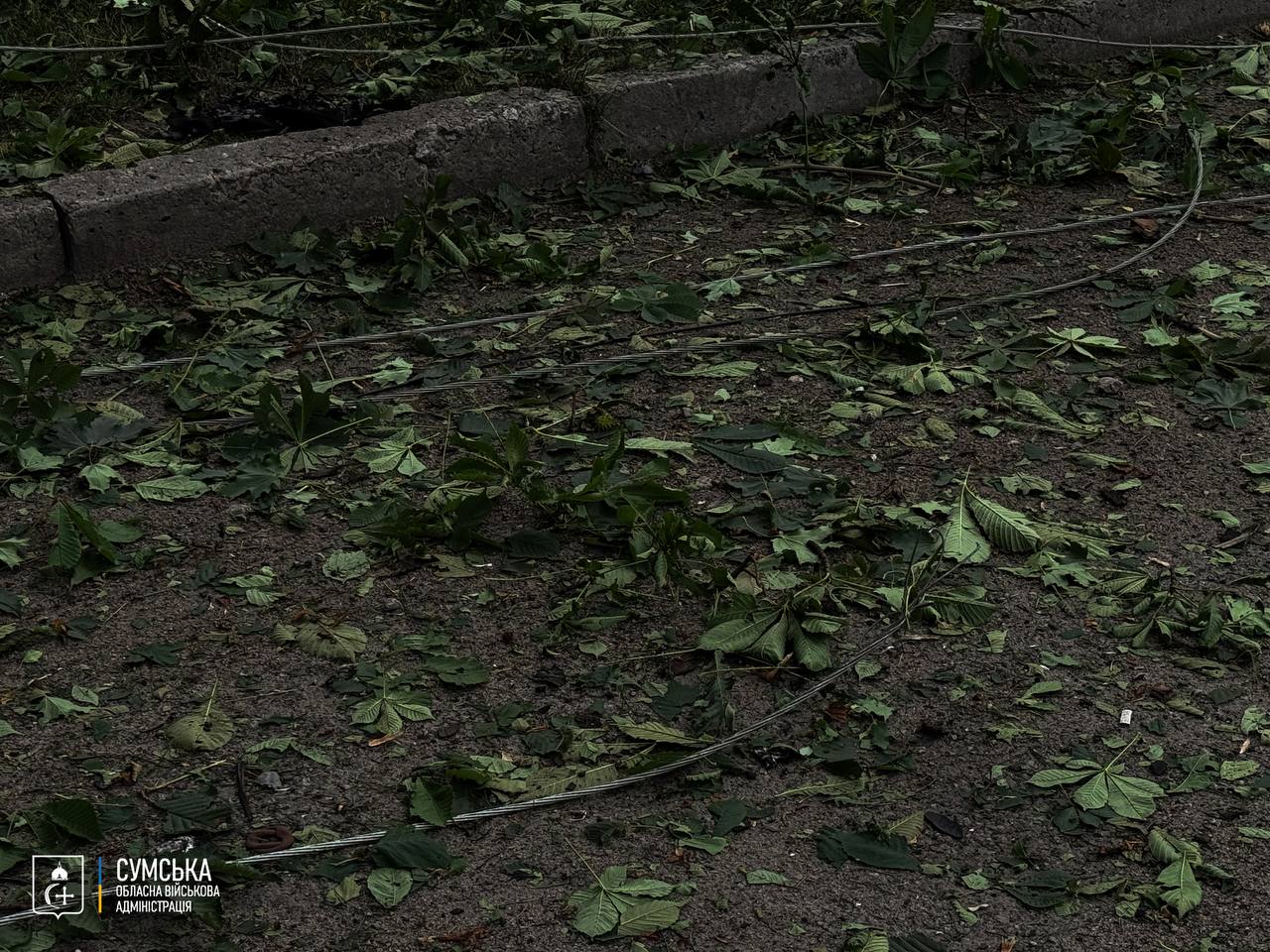 Російські безпілотники атакували Суми: пошкоджено будинки, є постраждалі