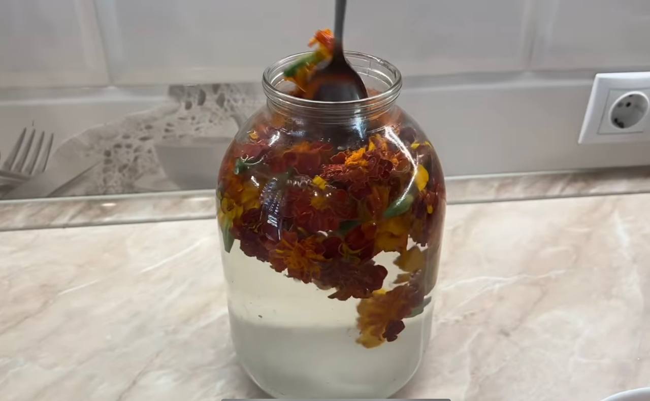 Освіжаючий квас з чорнобривців: домашній рецепт