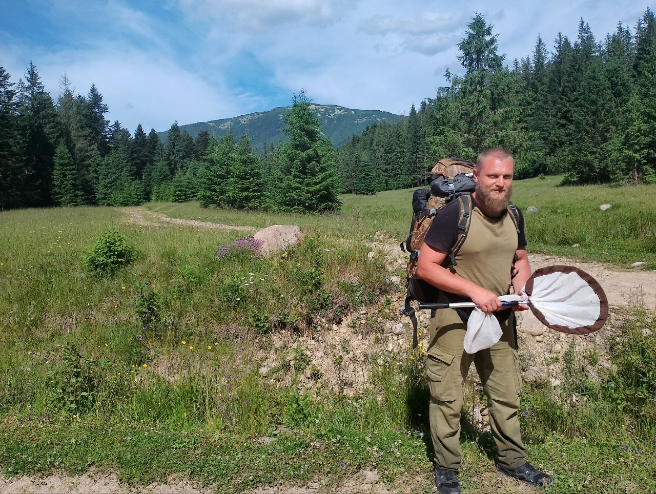 Чому в Україні зникають бджоли і де зимують мухи: інтерв'ю з ентомологом