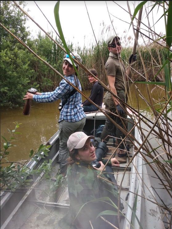 Куда исчезают воробьи и какие птицы могут "говорить": интервью с орнитологом