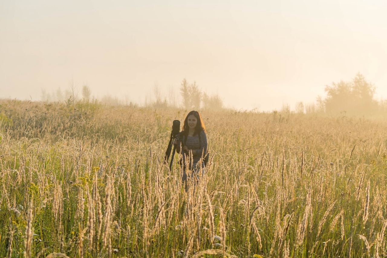 Куда исчезают воробьи и какие птицы могут "говорить": интервью с орнитологом