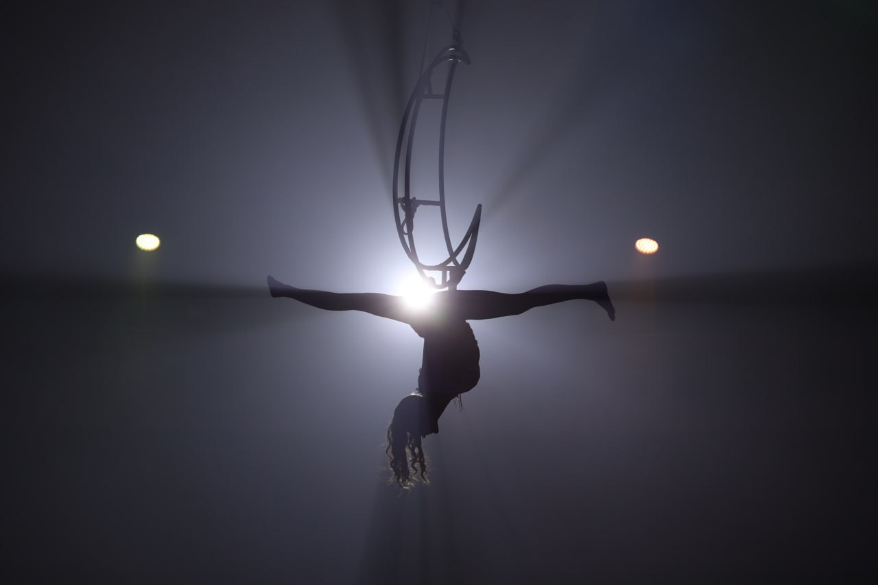 Без клоунов, но с животными: чем живет цирк сегодня – интервью с директором