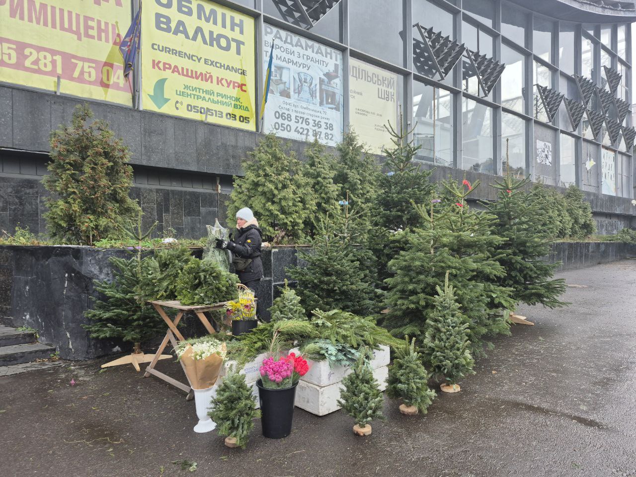 До 7 тисяч за ялинку. Скільки насправді коштують новорічні дерева в Києві