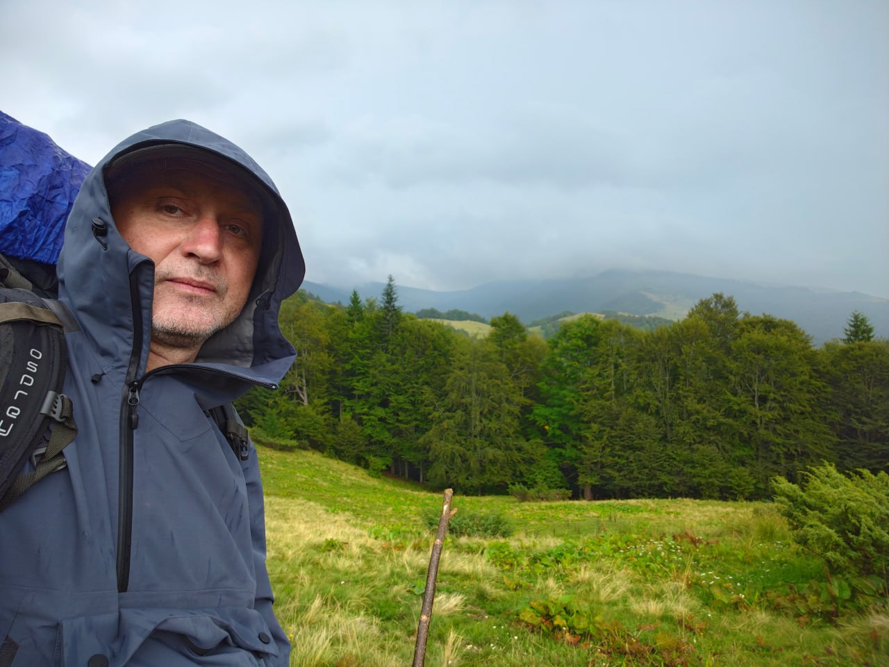 Тварини тікають, а праліси забудовують: що насправді відбувається в Карпатах під час війни