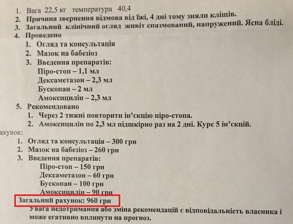 Що робити, якщо собаку вкусив кліщ і скільки коштує лікування