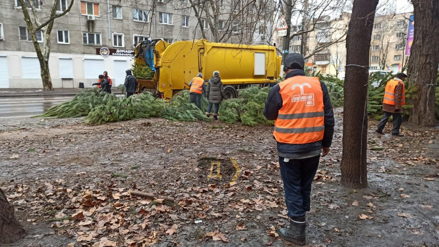 В Одесі продавці викинули на вулиці сотні непроданих ялинок (фото)