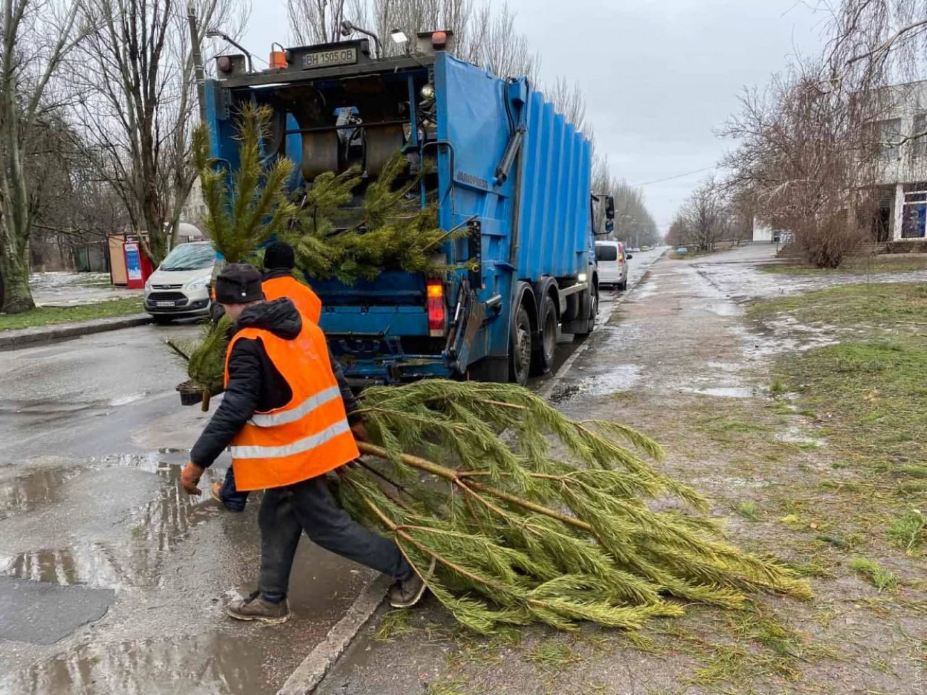 В Одесі продавці викинули на вулиці сотні непроданих ялинок (фото)