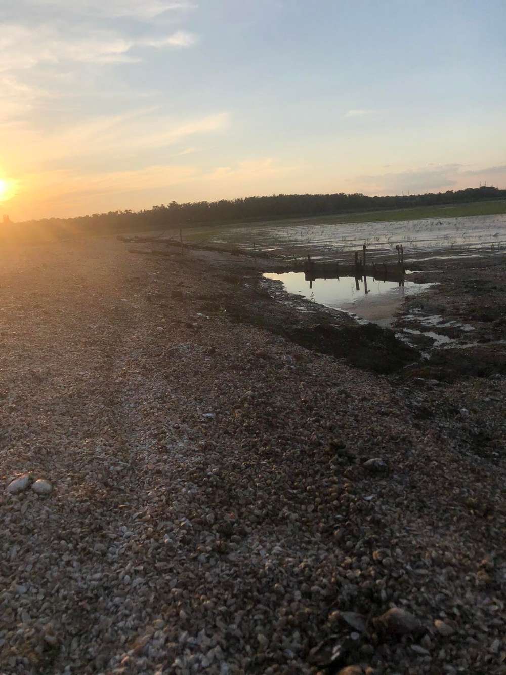 На дні Каховського водосховища утворилися городи: там не лише картопля (фото)