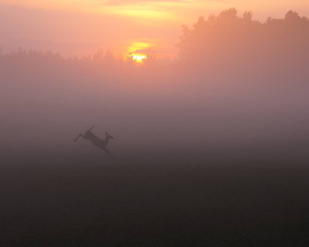 Показали, як виглядає найказковіше місце на Землі: фото, від яких перехоплює дух