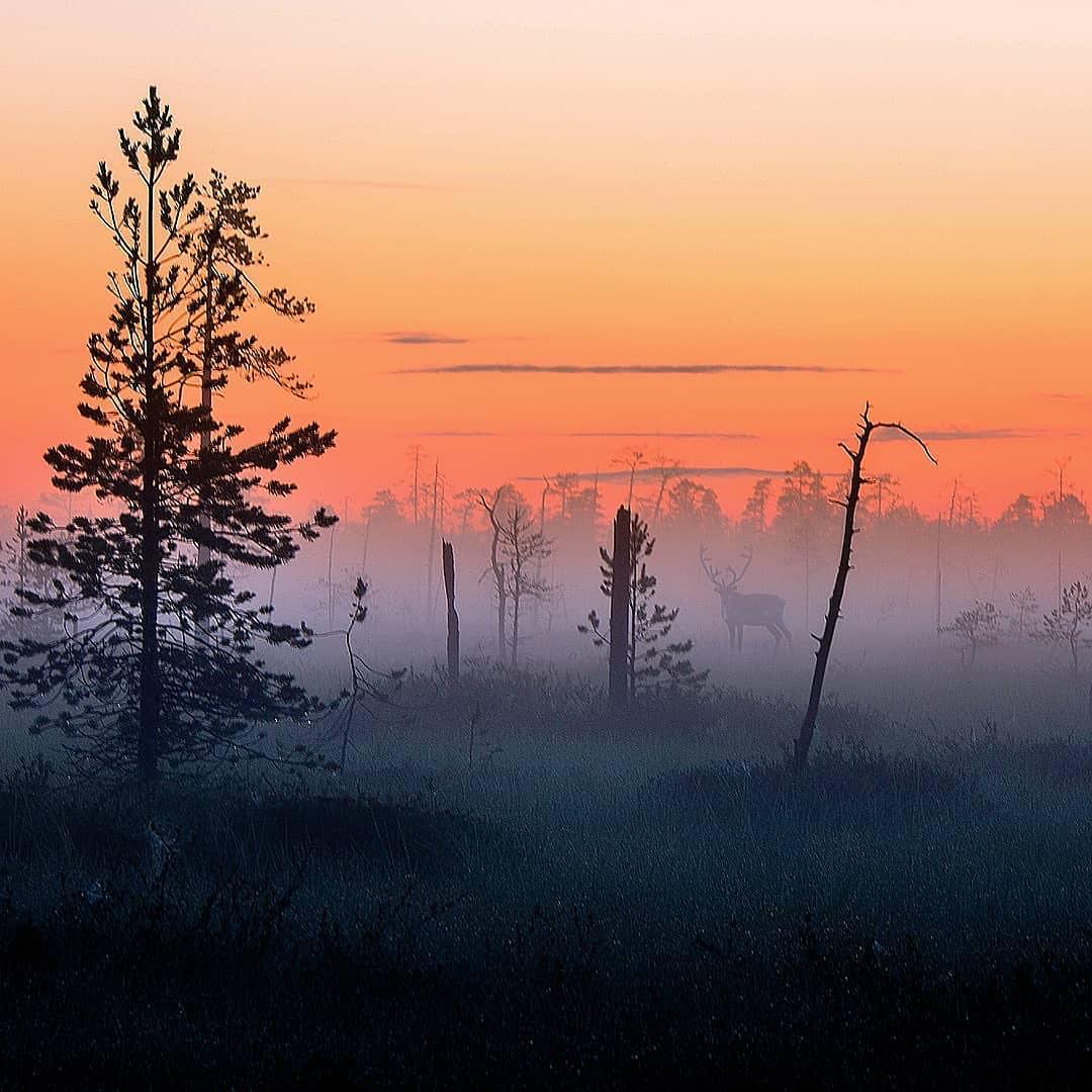 Показали, як виглядає найказковіше місце на Землі: фото, від яких перехоплює дух