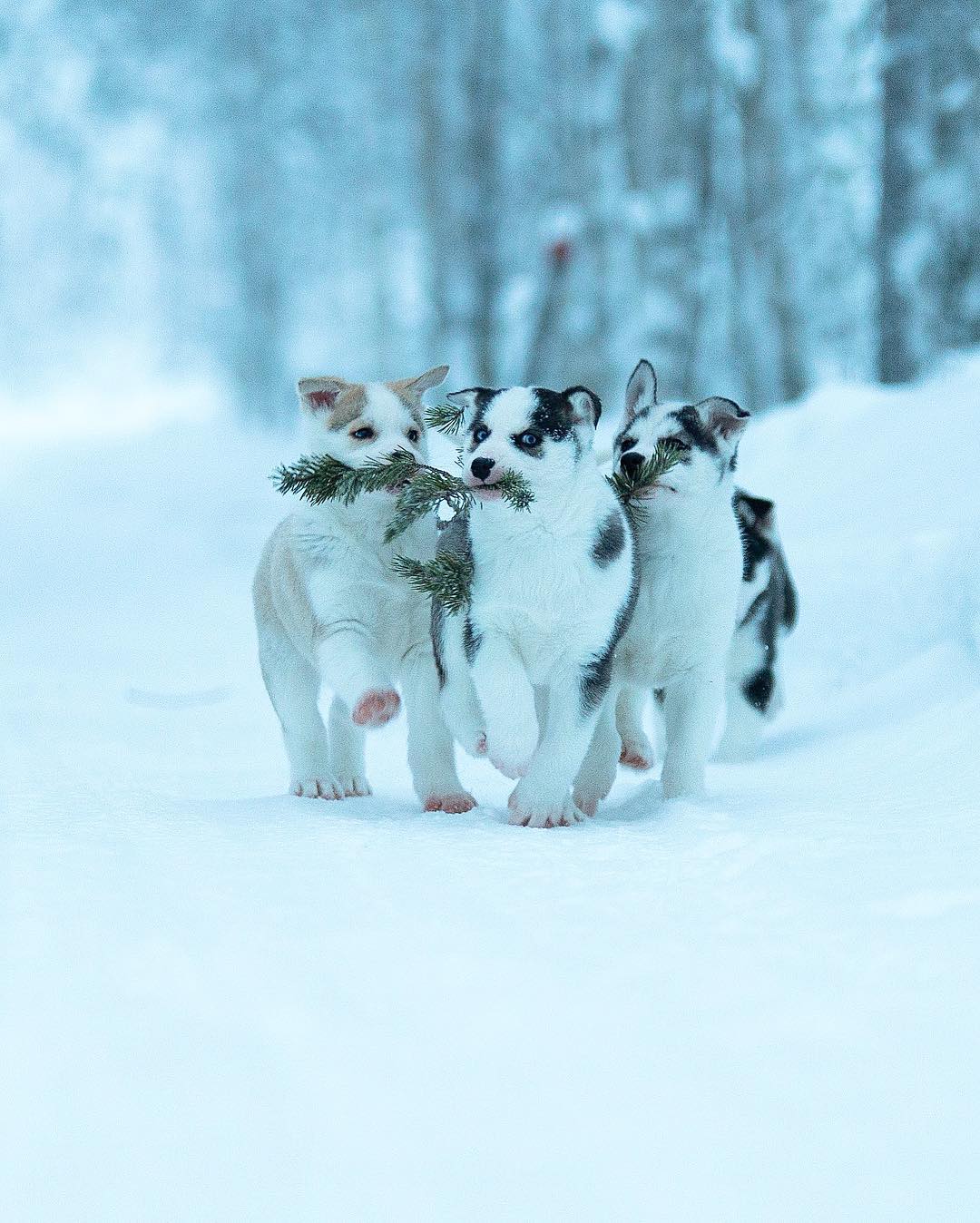 Показали, як виглядає найказковіше місце на Землі: фото, від яких перехоплює дух