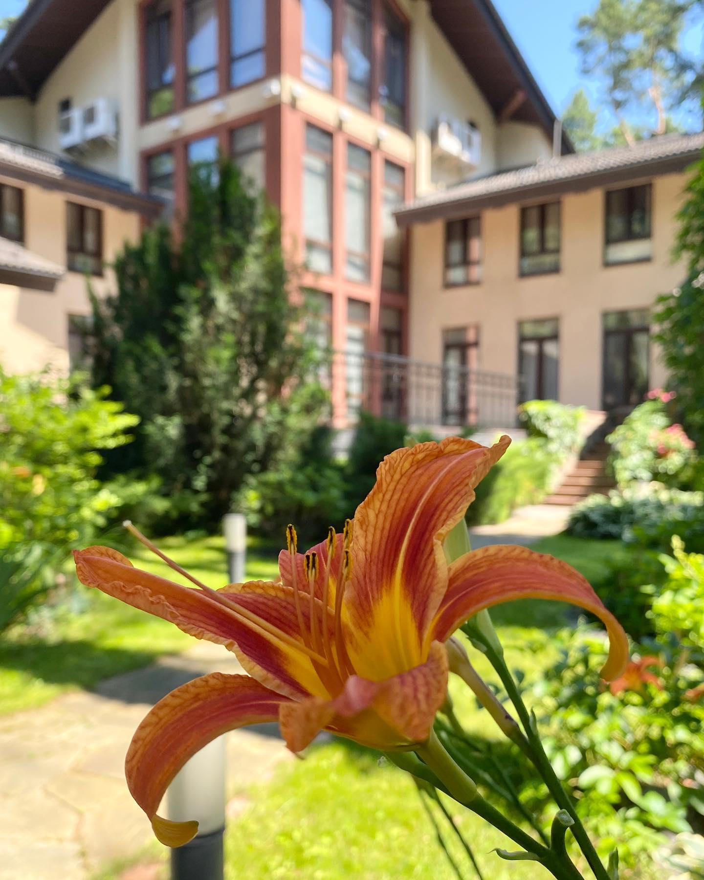 Не Італія і США. Де і з ким живе під час війни Софія Ротару