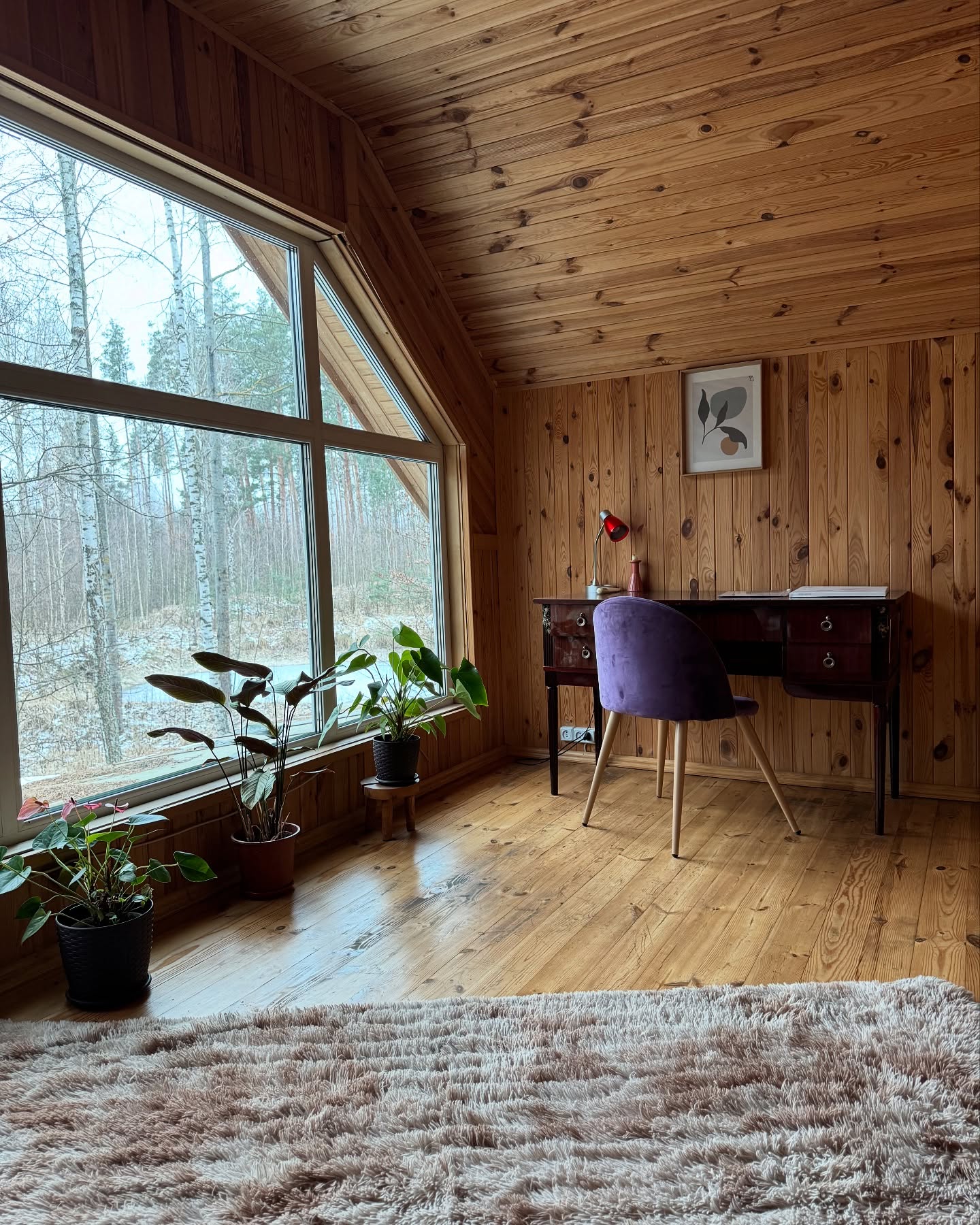 10 заміських будинків і комплексів для відпочинку під Києвом: скільки коштує оренда та як дістатися