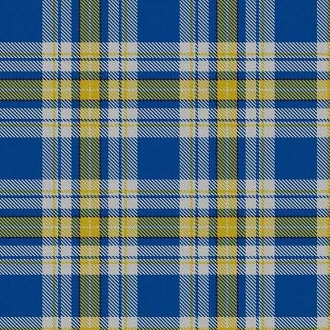 Футболка "как у Зеленского": как в мире распространяется тренд на все украинское (фото)