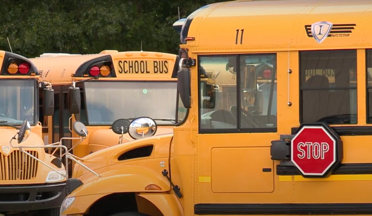 Чому шкільні автобуси в США - без ременів безпеки: причина здивує