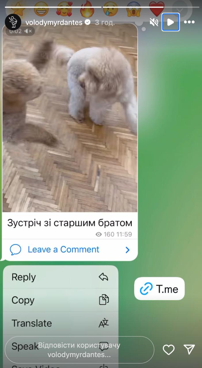 Дантес і Кацуріна знову разом? Як "спалилась" зіркова пара