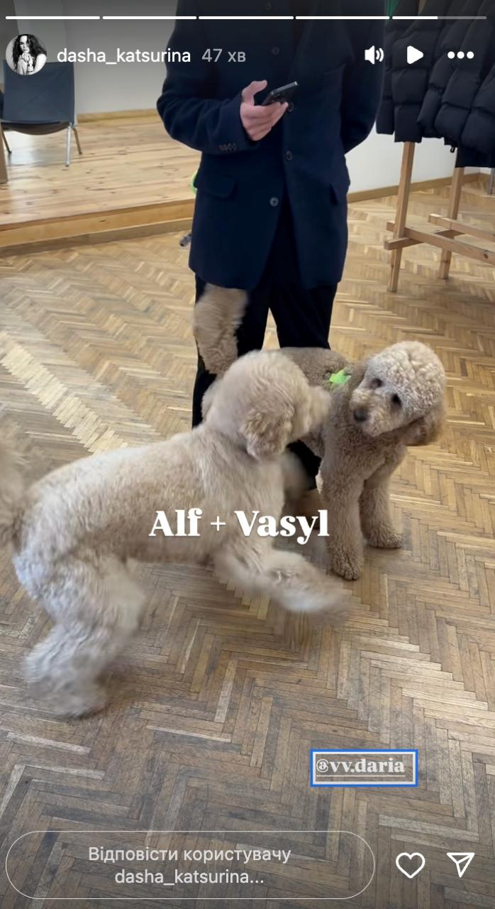 Дантес і Кацуріна знову разом? Як "спалилась" зіркова пара