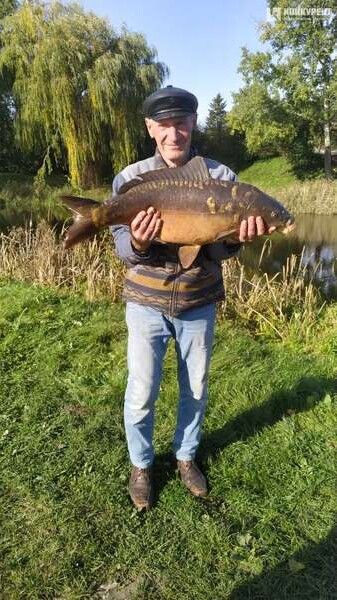 Витягав 30 хвилин: у Луцьку рибалка спіймав величезного коропа та показав фото гіганта