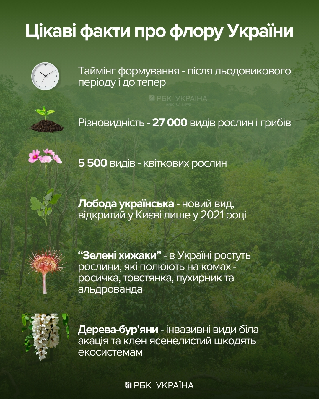 Зелені хижаки: чому деякі рослини полюють на комах, риб і навіть саламандр