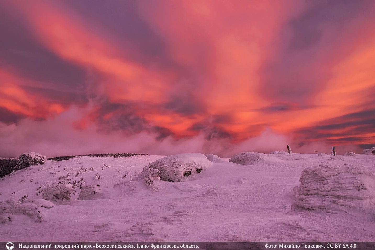 Представили 10 накрасивіших фото природи зі всієї України. Це просто неймовірно