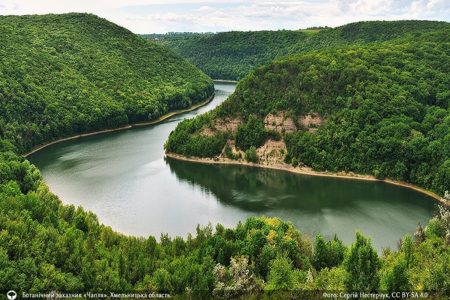 Представили 10 накрасивіших фото природи зі всієї України. Це просто неймовірно
