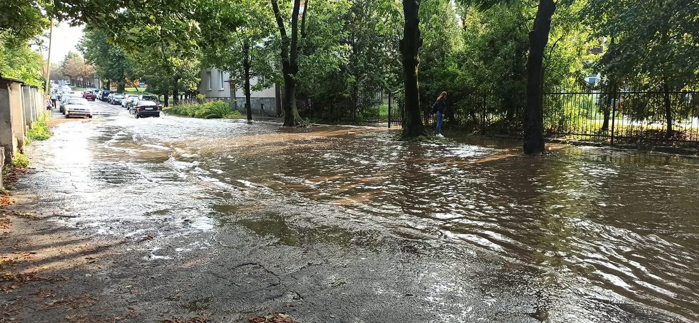 Львов снова накрыло ураганом: поваленные деревья и отключена электрика