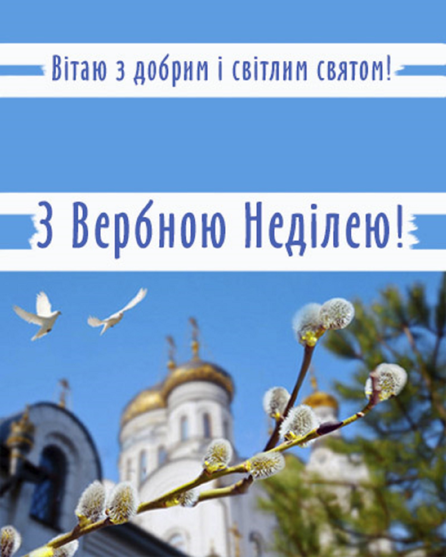 Вербна неділя: найтепліші привітання у віршах, листівках і своїми словами