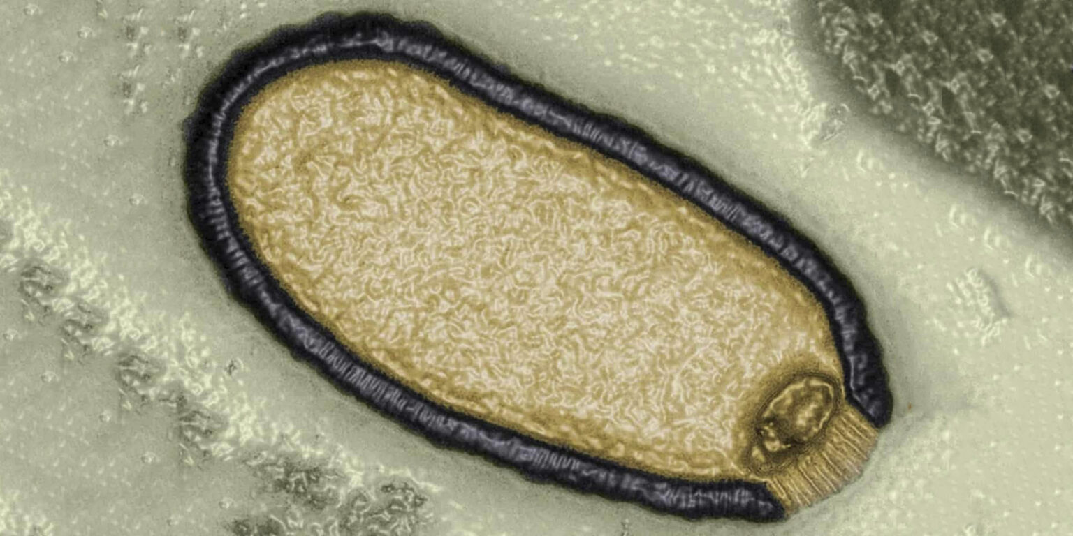 Вчені попередили про "зомбі-віруси" з Арктики, які можуть знищити людство