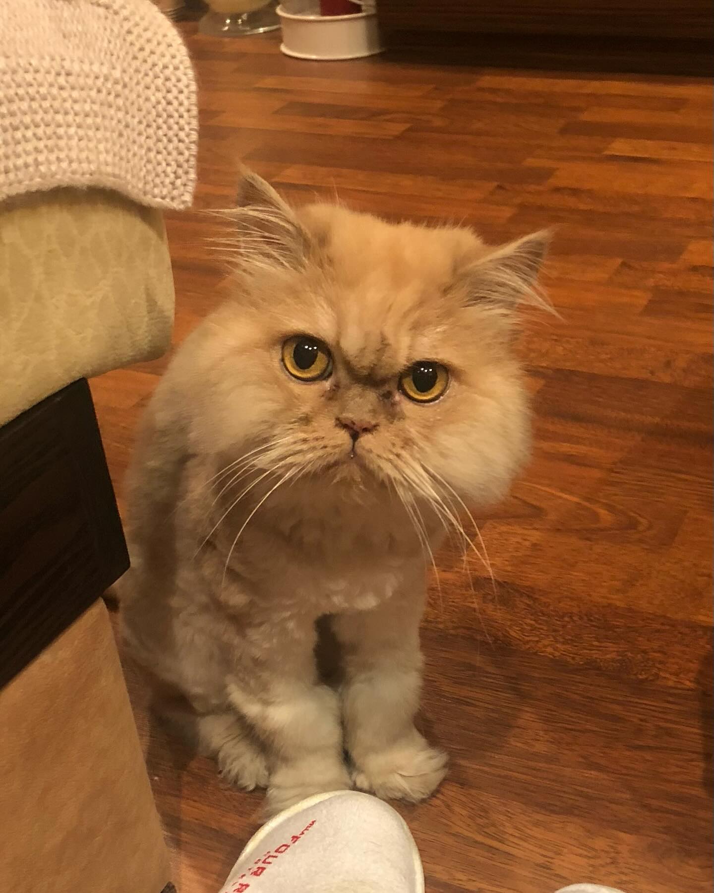 Віталій Козловський розповів про важку особисту втрату: "ти передала мене в надійні руки"