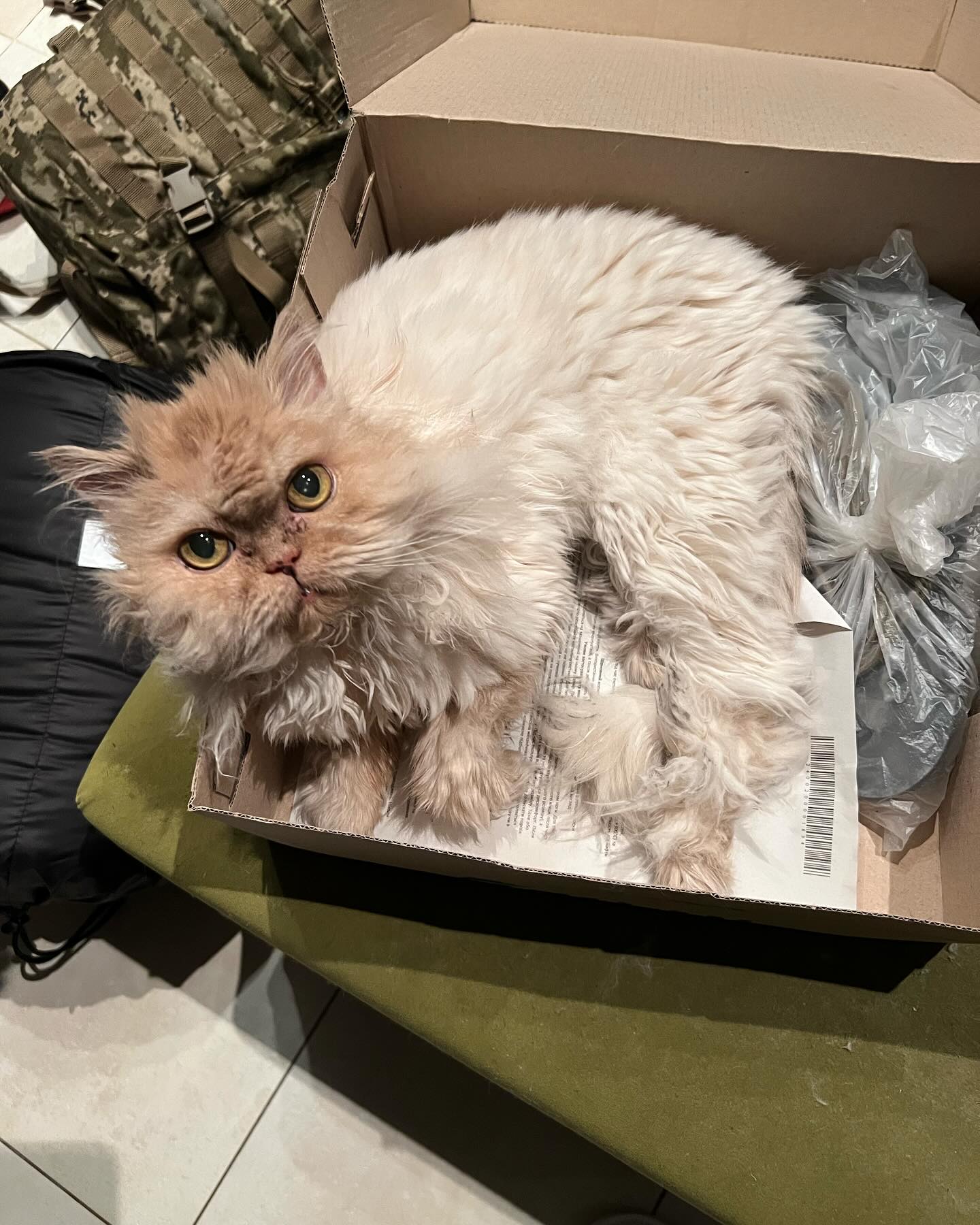 Віталій Козловський розповів про важку особисту втрату: "ти передала мене в надійні руки"