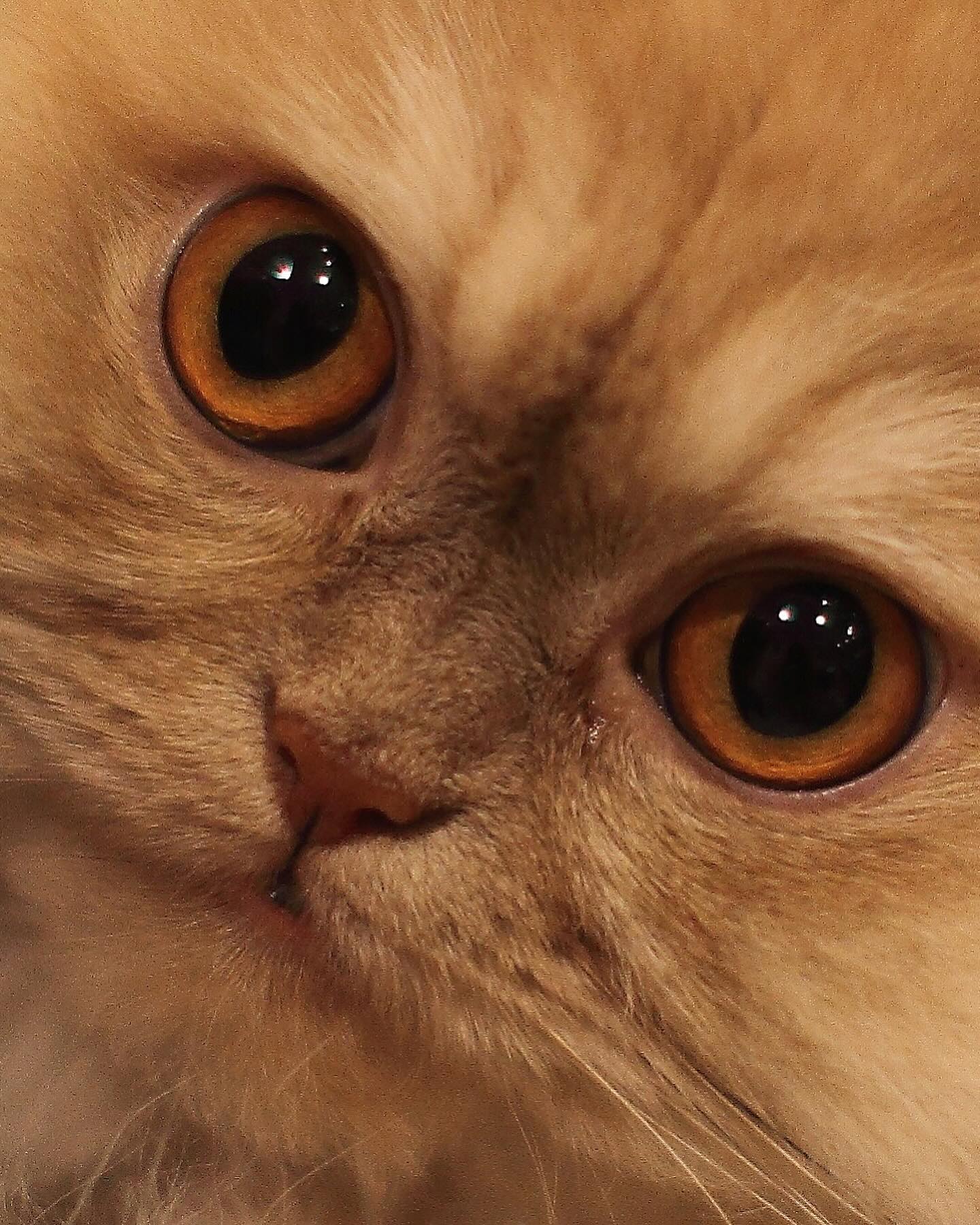 Віталій Козловський розповів про важку особисту втрату: "ти передала мене в надійні руки"