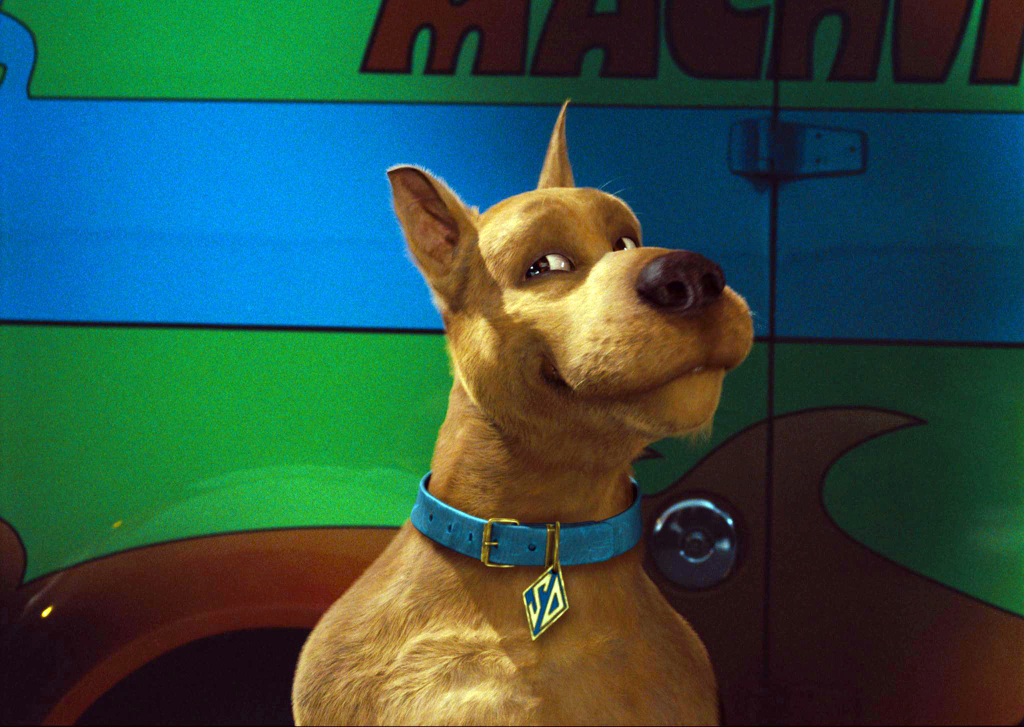 Топ-5 акторів фільму "Скубі-Ду" тоді і зараз: чим вони сьогодні займаються