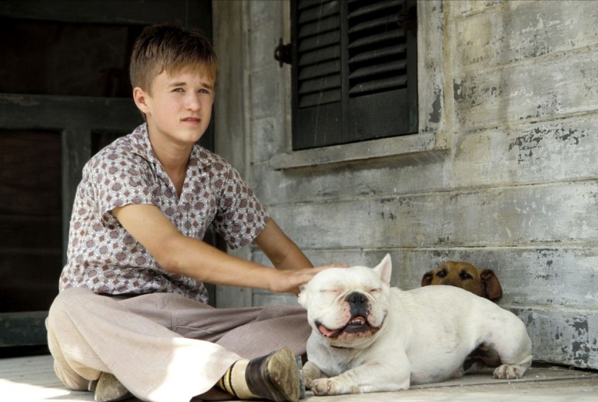 Відростив довге волосся та бороду: як змінився хлопчик з "Шостого почуття" (фото)