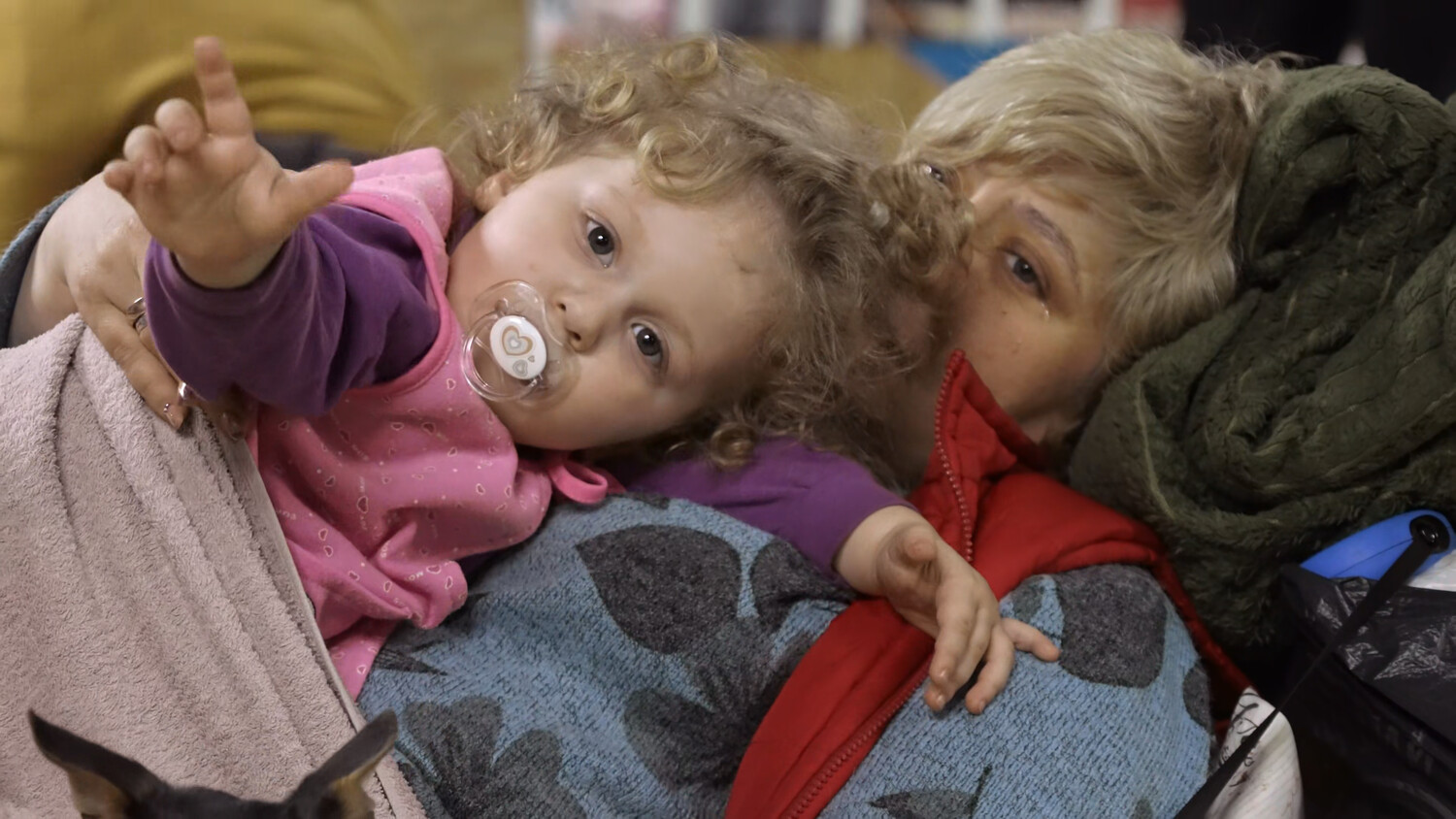 Вперше в історії! Український фільм отримав Оскар 2024